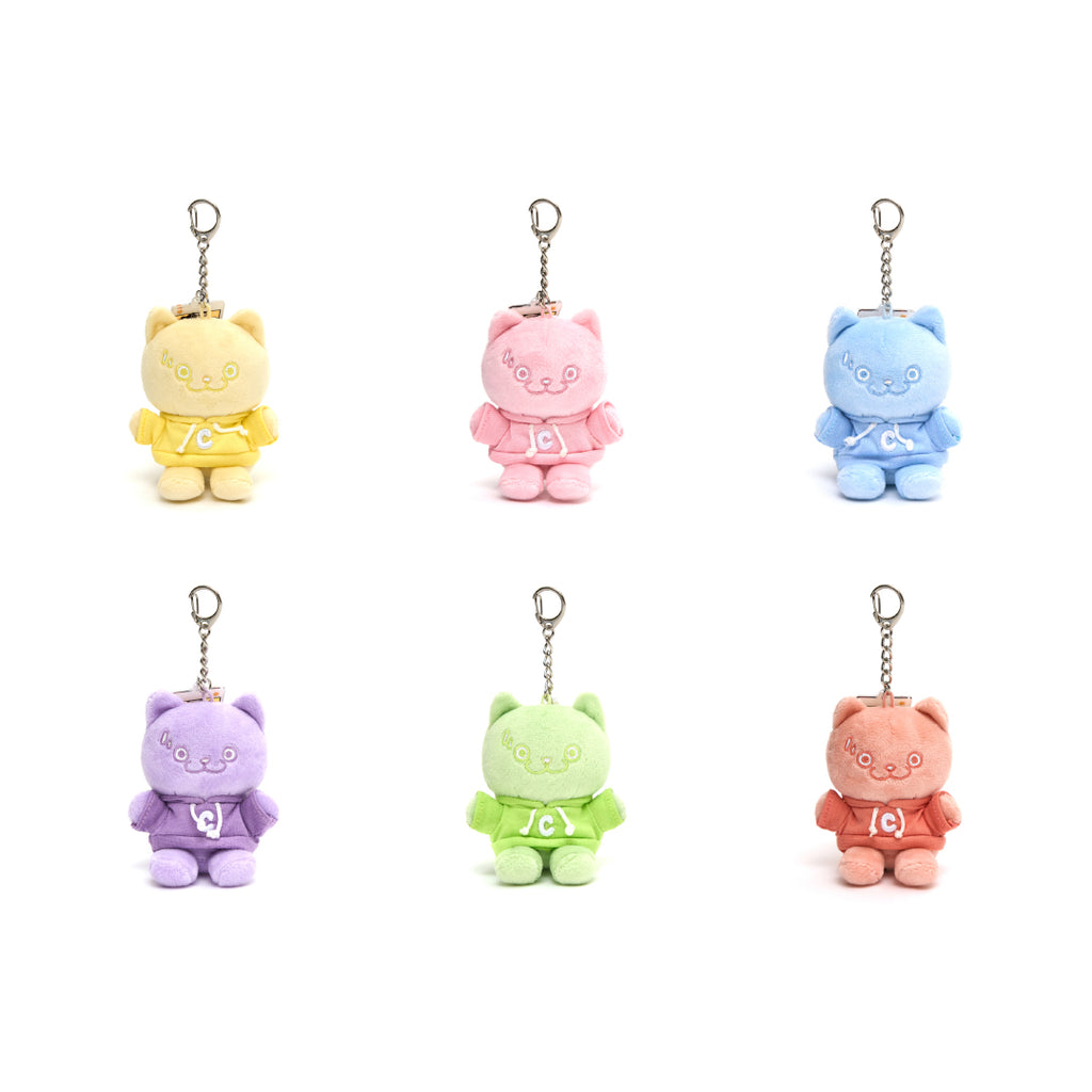 CATXMAN MINI PLUSH WITH C HOODIE BLIND BOX (BOX SET 6 PIECES)
